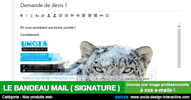Bandeau signature d'e-mail - Communication Ile de La Réunion